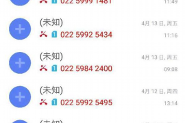 雷山为什么选择专业追讨公司来处理您的债务纠纷？